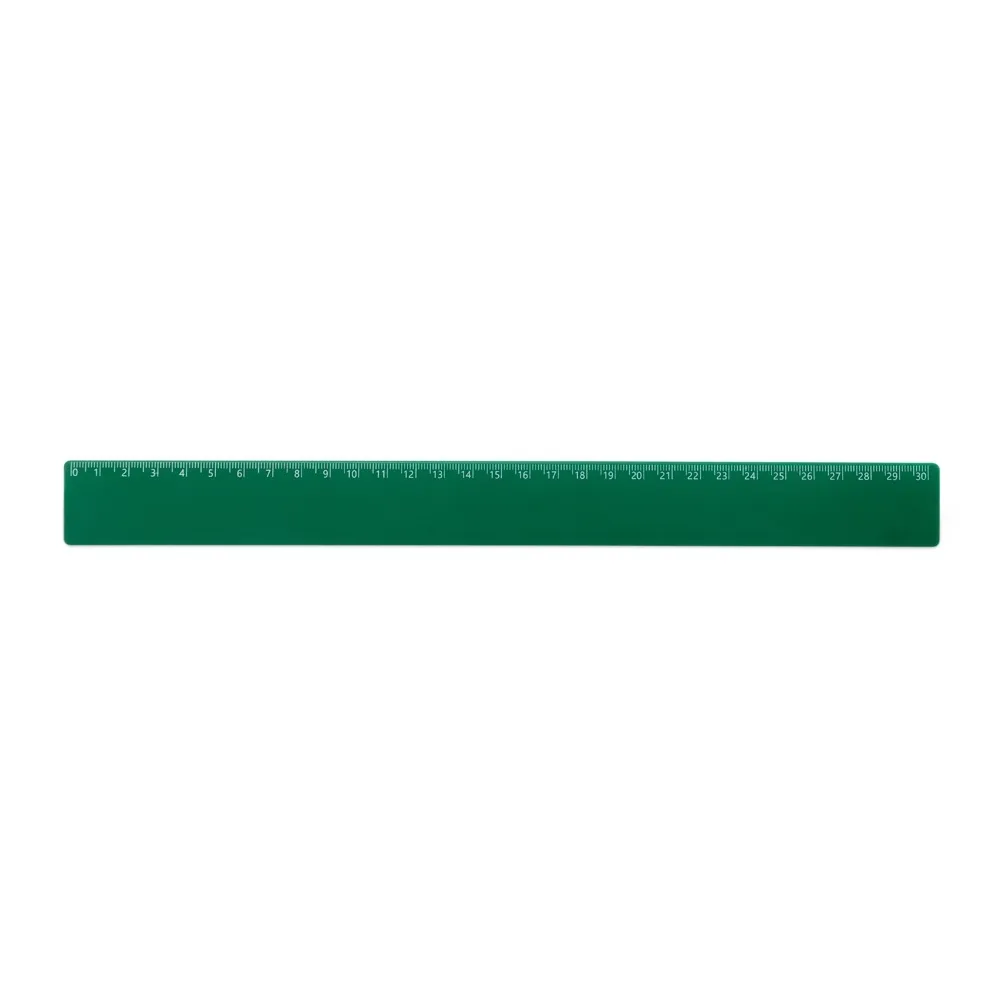 Régua Plástica 30cm